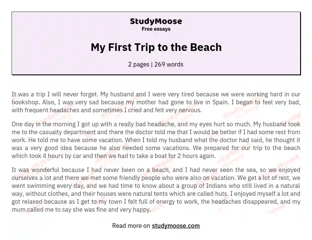 My First Trip to the Beach essay