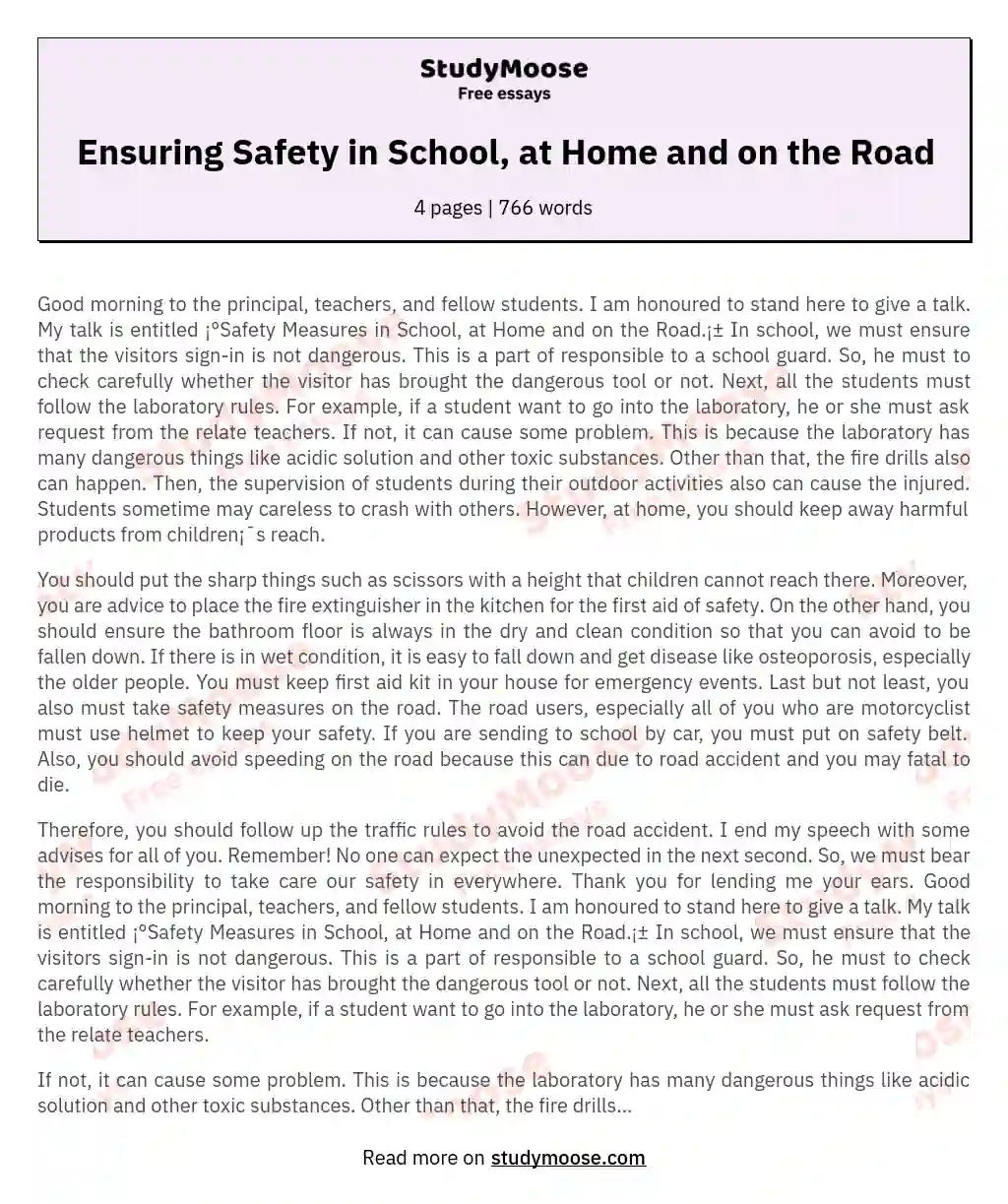 Ensuring Safety in School, at Home and on the Road essay