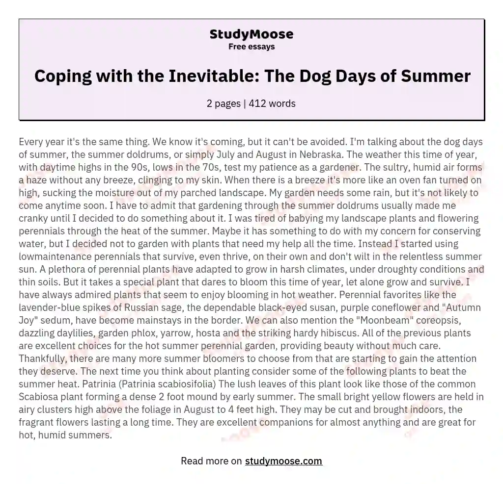 Coping with the Inevitable: The Dog Days of Summer essay