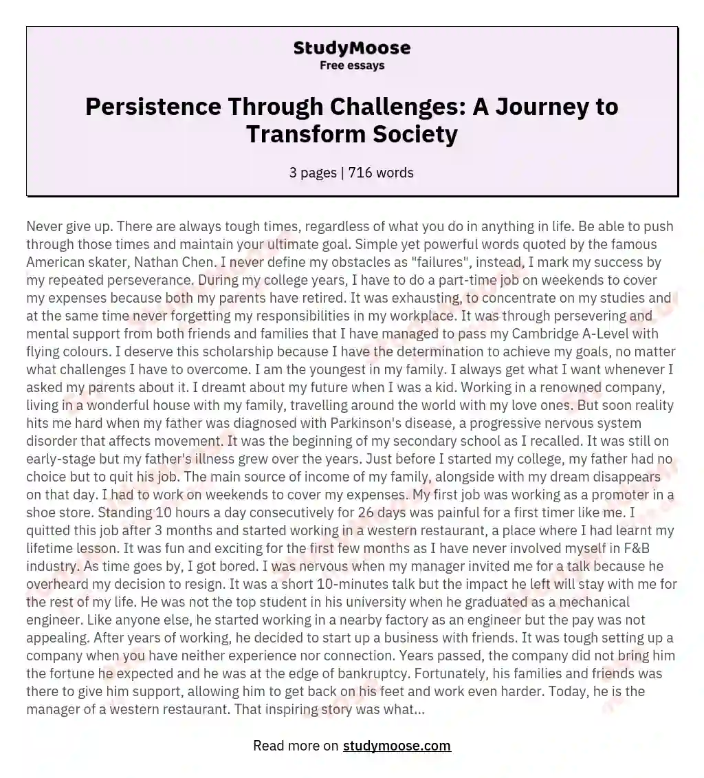Persistence Through Challenges: A Journey to Transform Society essay