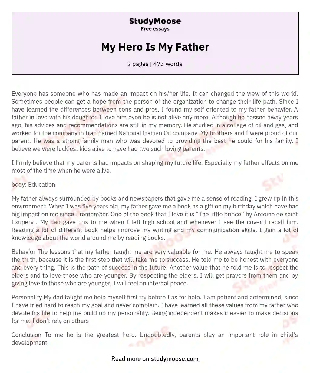 My Hero Is My Father essay