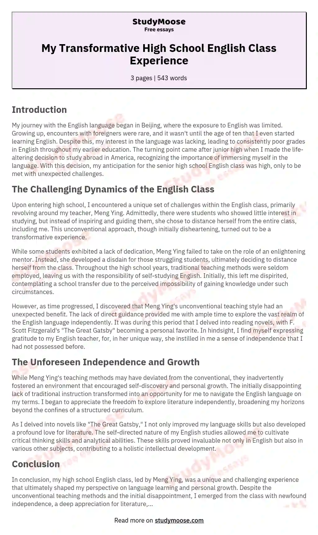 experience essay in english
