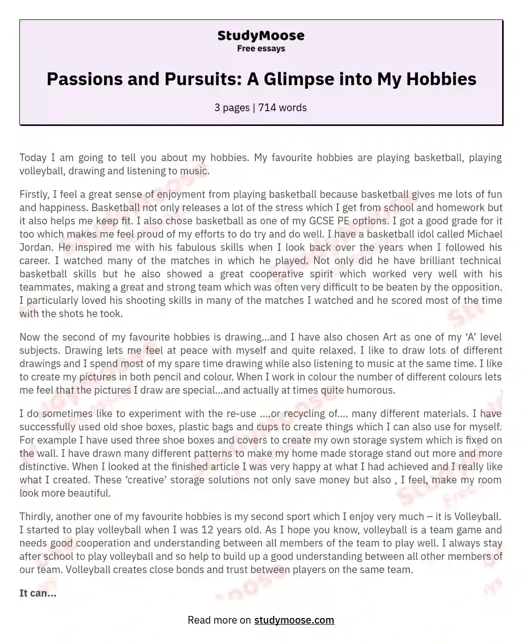 Passions and Pursuits: A Glimpse into My Hobbies essay