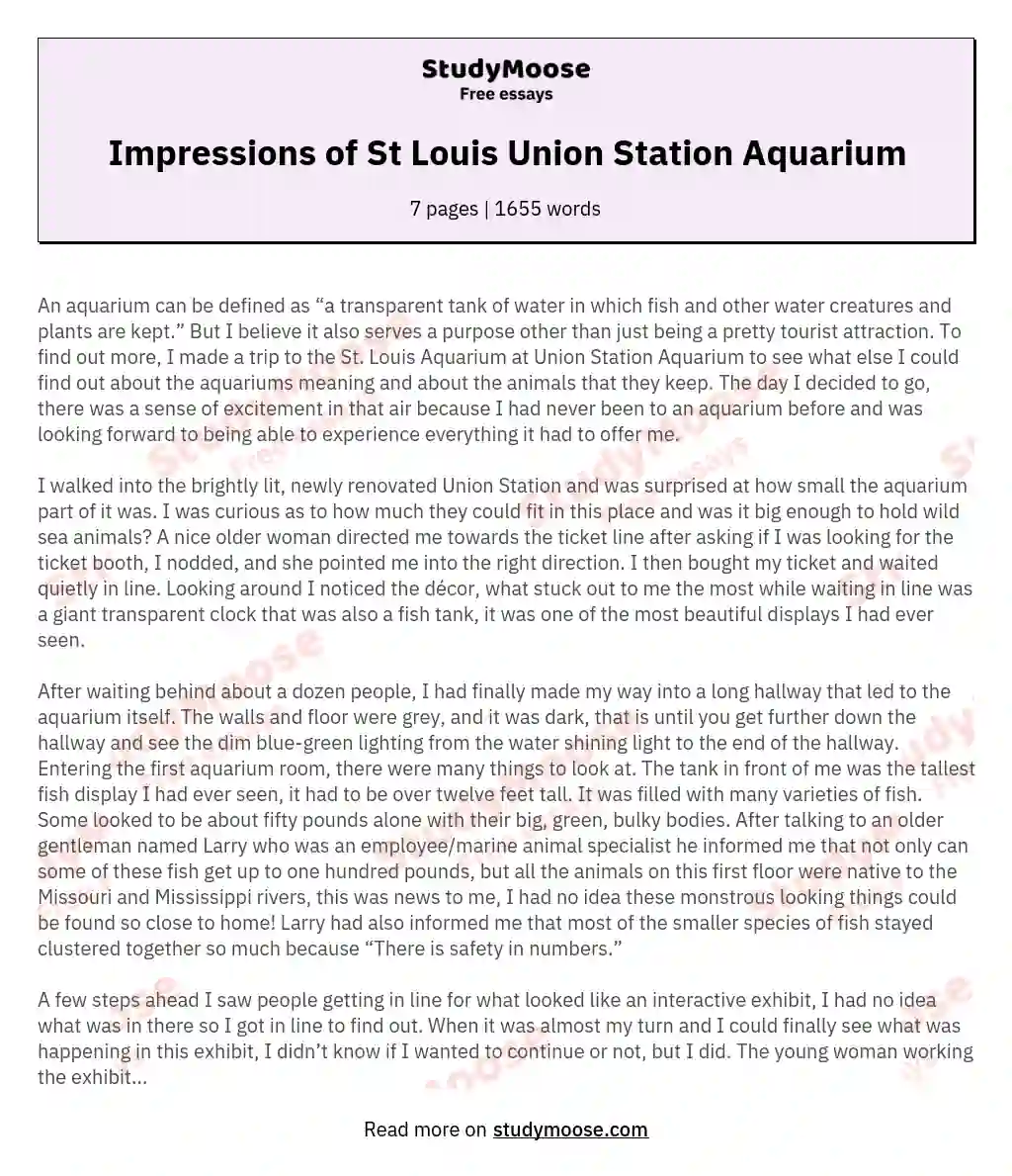 Impressions of St Louis Union Station Aquarium essay