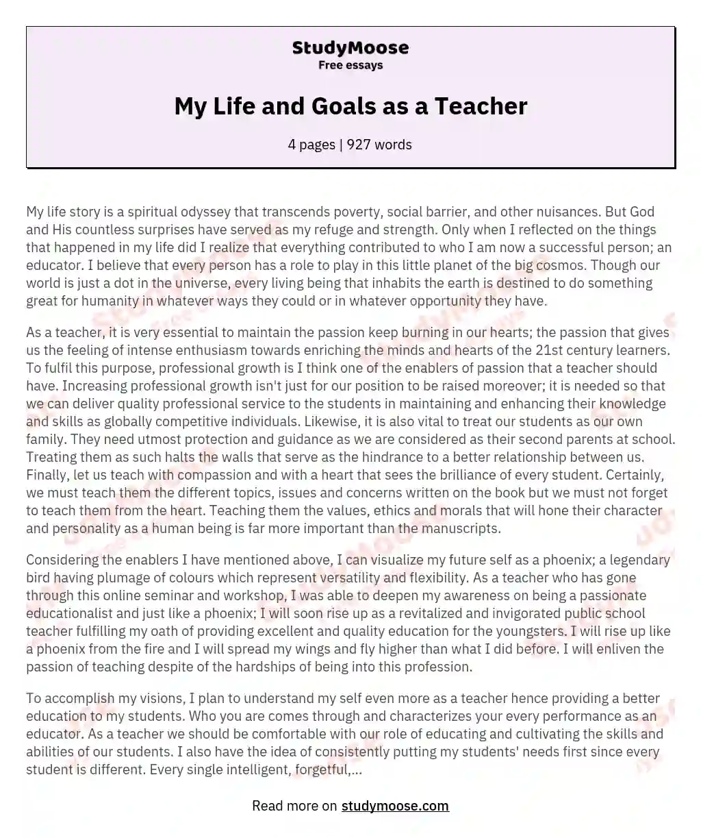 My Life and Goals as a Teacher essay