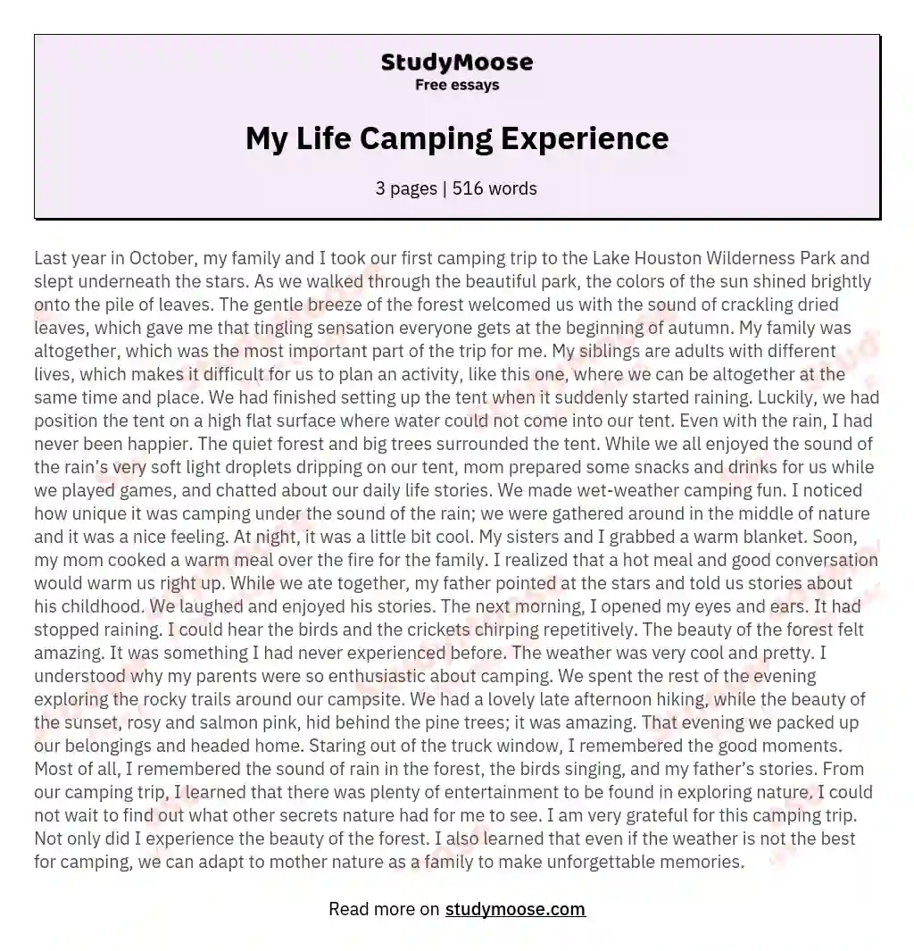 My Life Camping Experience essay