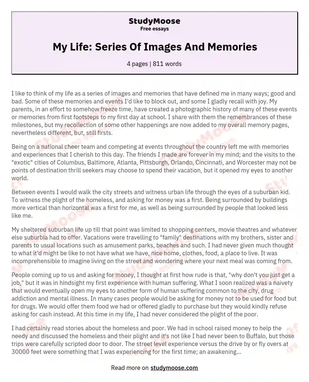 My Life: Series Of Images And Memories essay