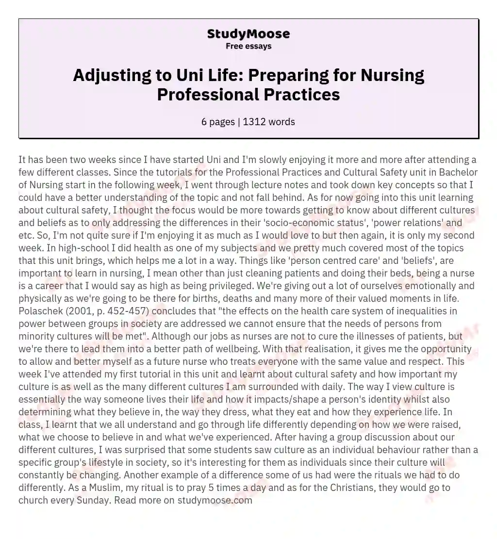 Adjusting to Uni Life: Preparing for Nursing Professional Practices essay