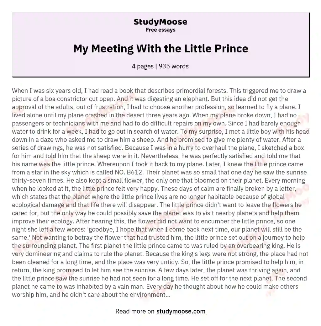My Meeting With the Little Prince essay