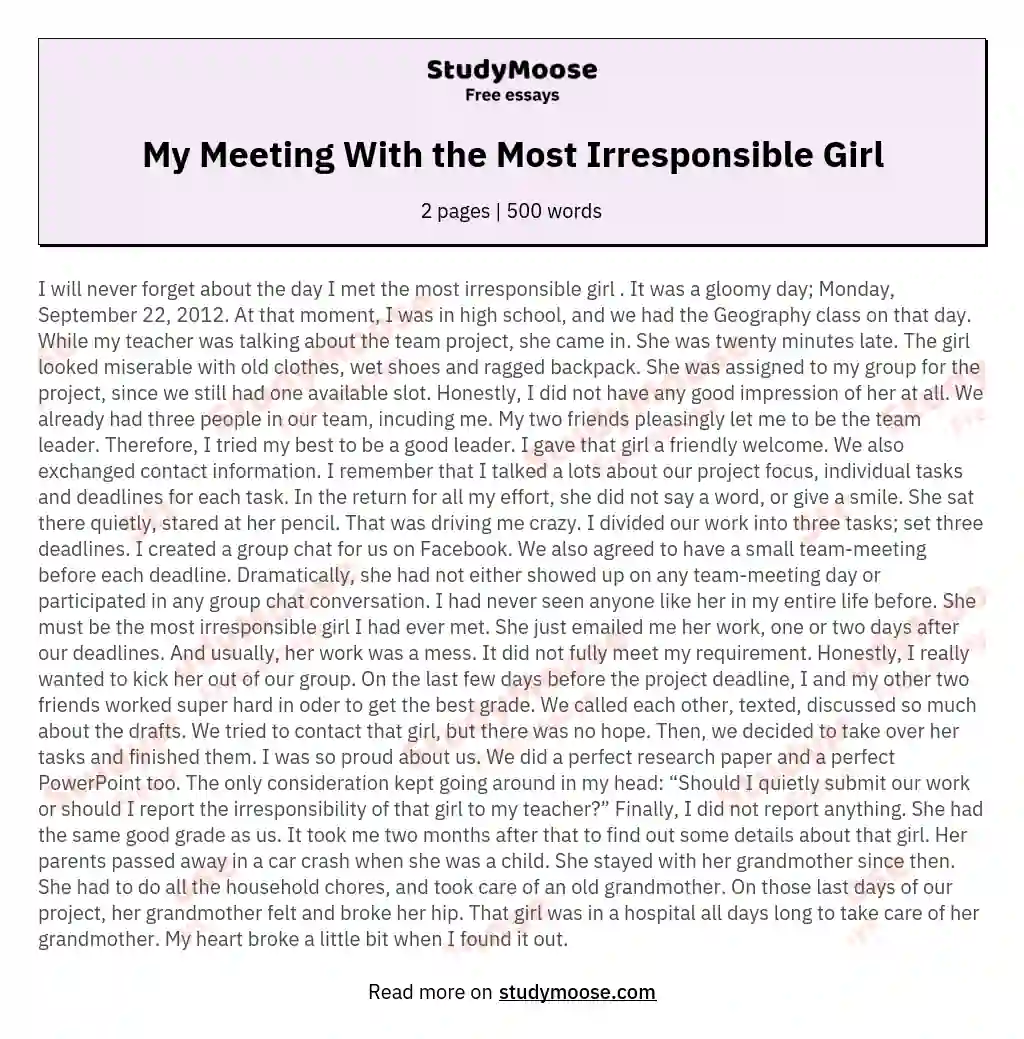 My Meeting With the Most Irresponsible Girl essay