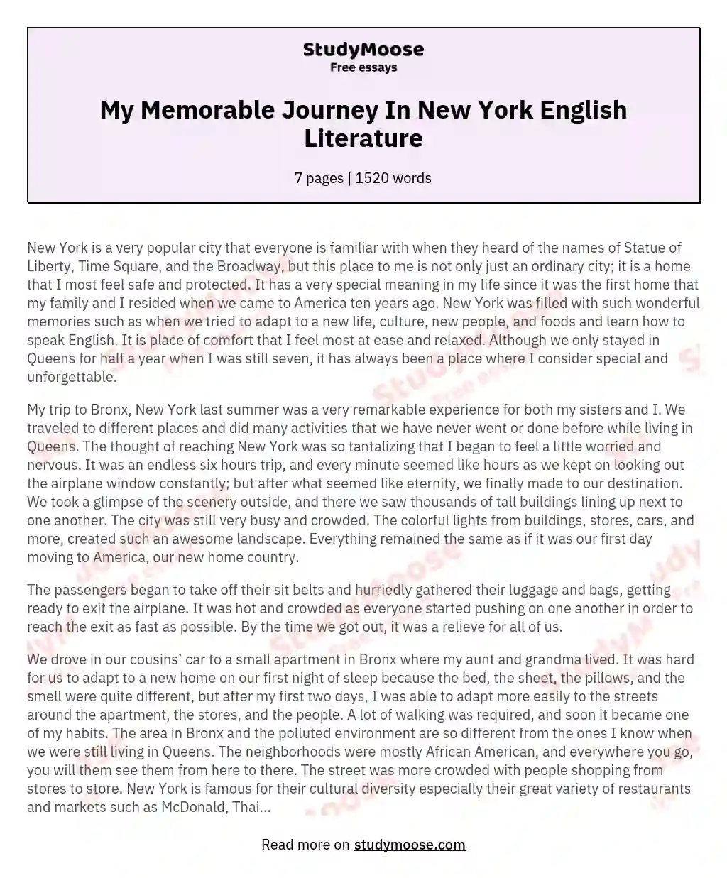 a memorable journey essay