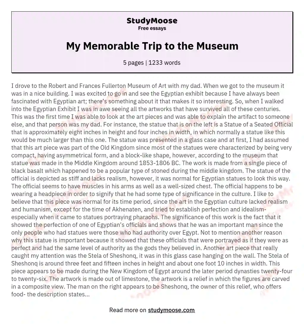 My Memorable Trip to the Museum essay