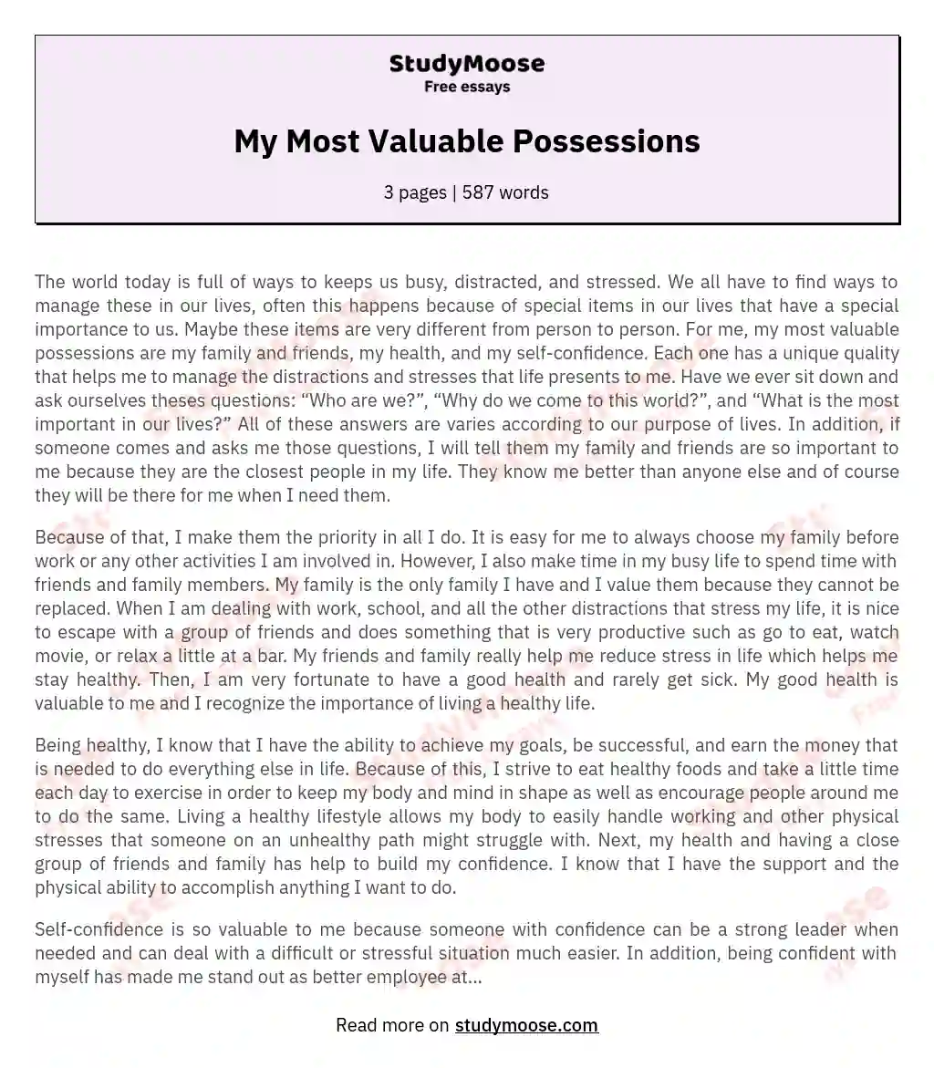 My Most Valuable Possessions essay