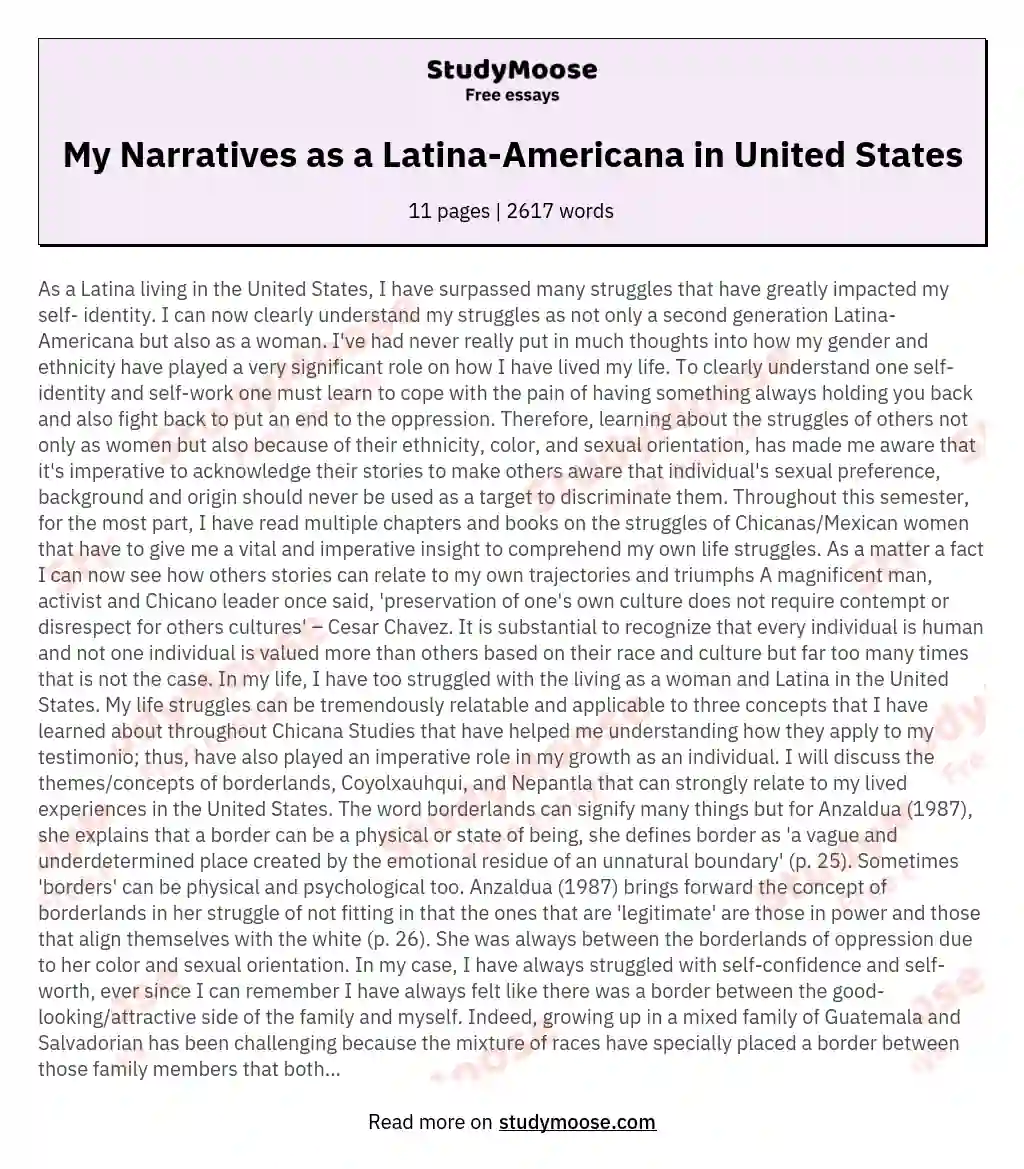 My Narratives as a Latina-Americana in United States essay