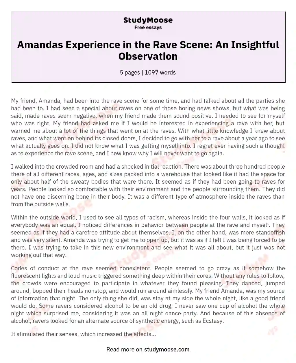 Amandas Experience in the Rave Scene: An Insightful Observation essay