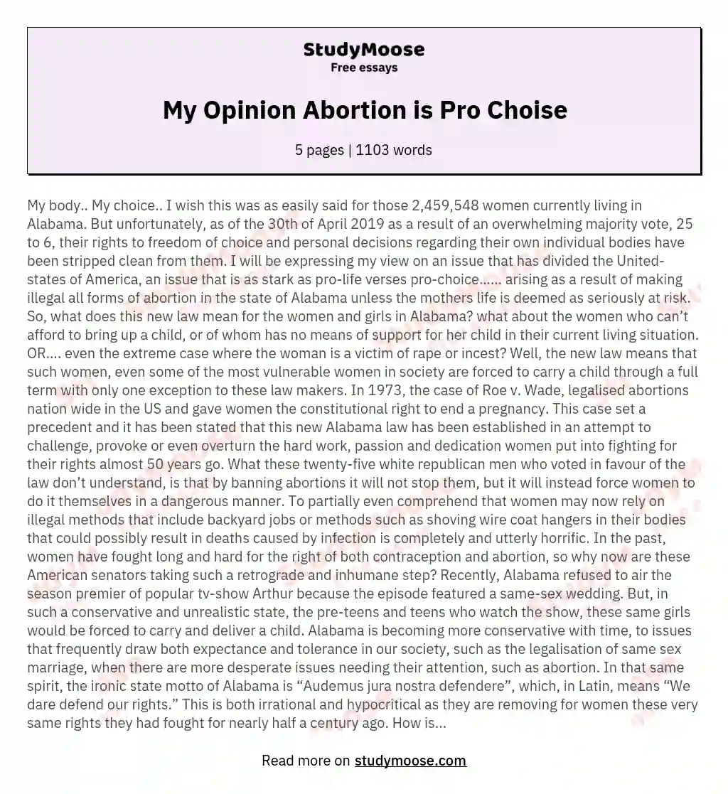 My Opinion Abortion is Pro Choise essay