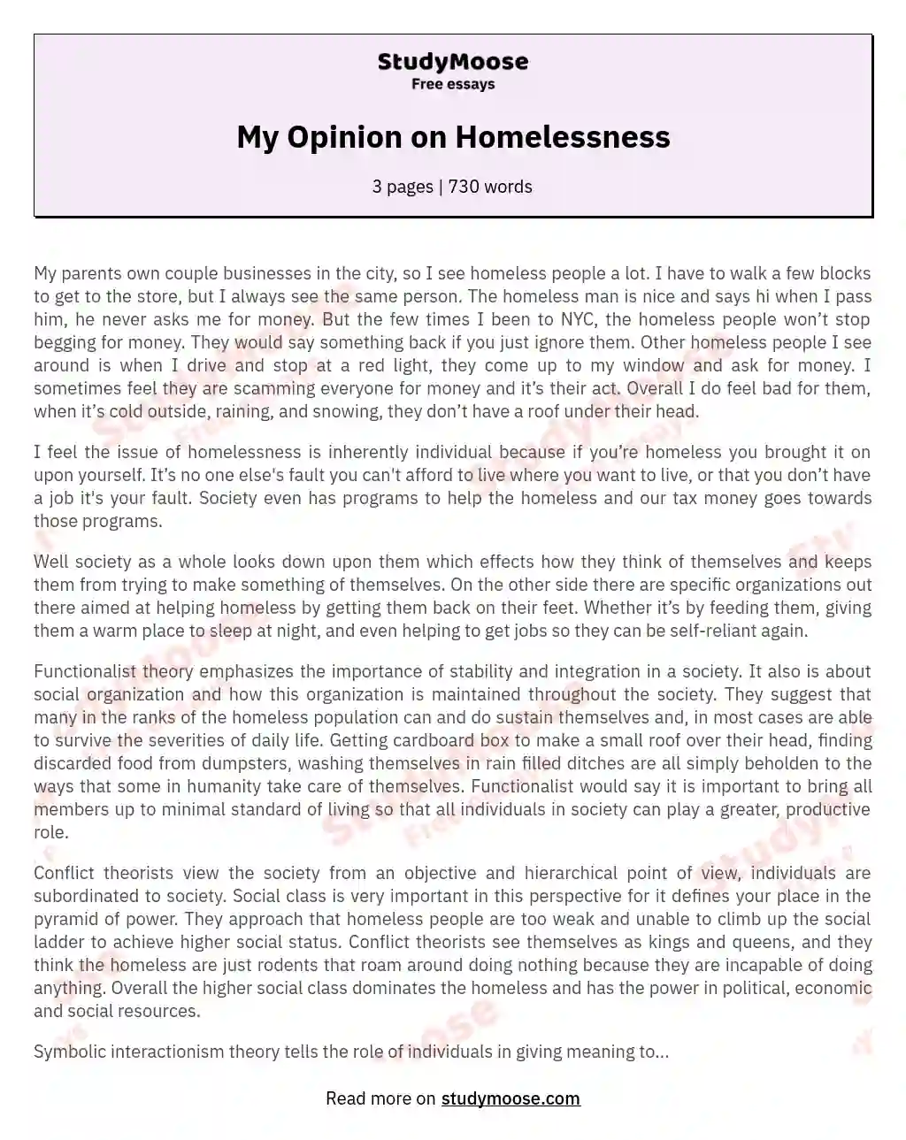 My Opinion on Homelessness essay