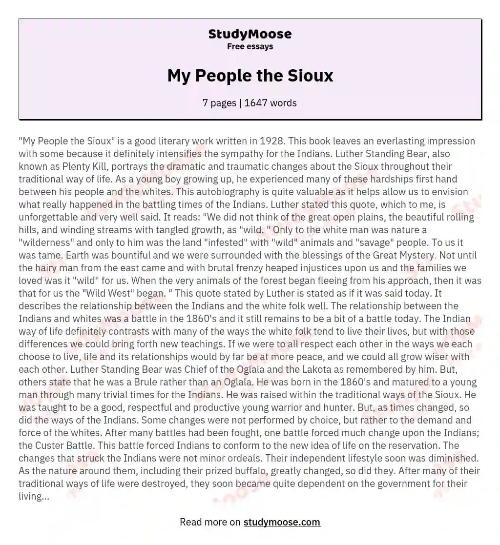 My People the Sioux essay