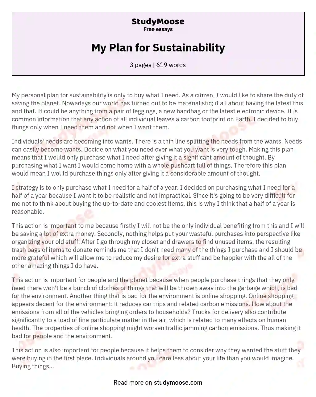 My Plan for Sustainability essay