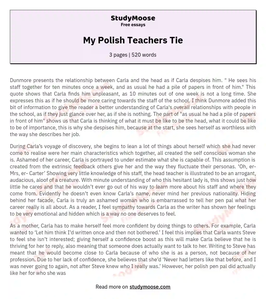 My Polish Teachers Tie essay