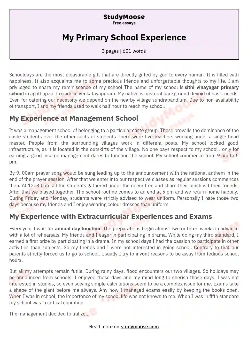 My Primary School Experience essay