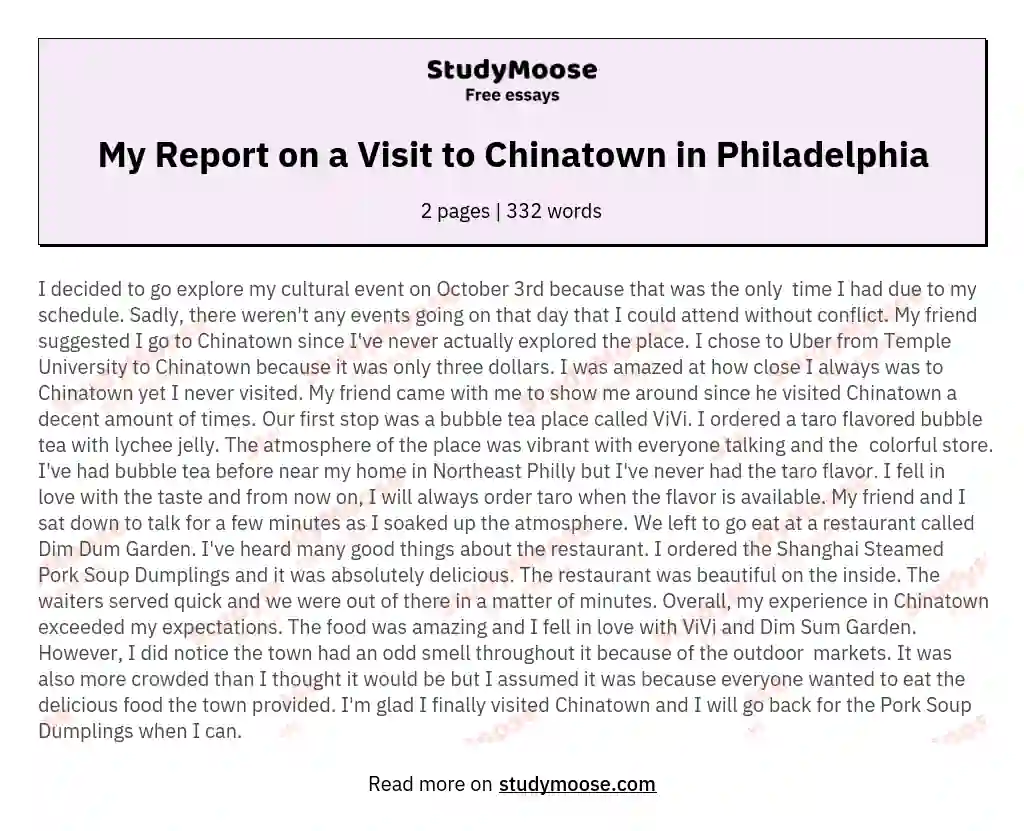 My Report on a Visit to Chinatown in Philadelphia essay
