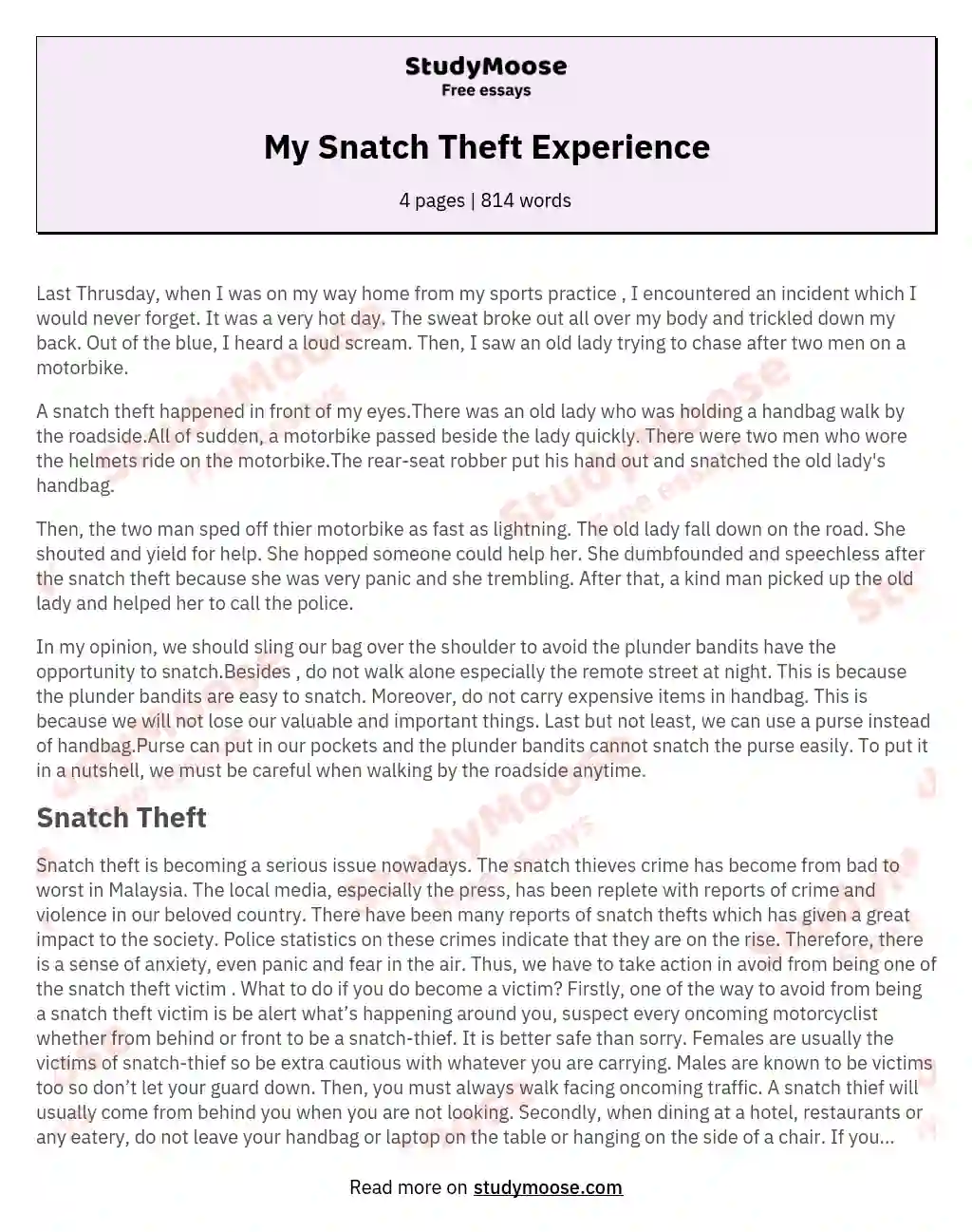 My Snatch Theft Experience