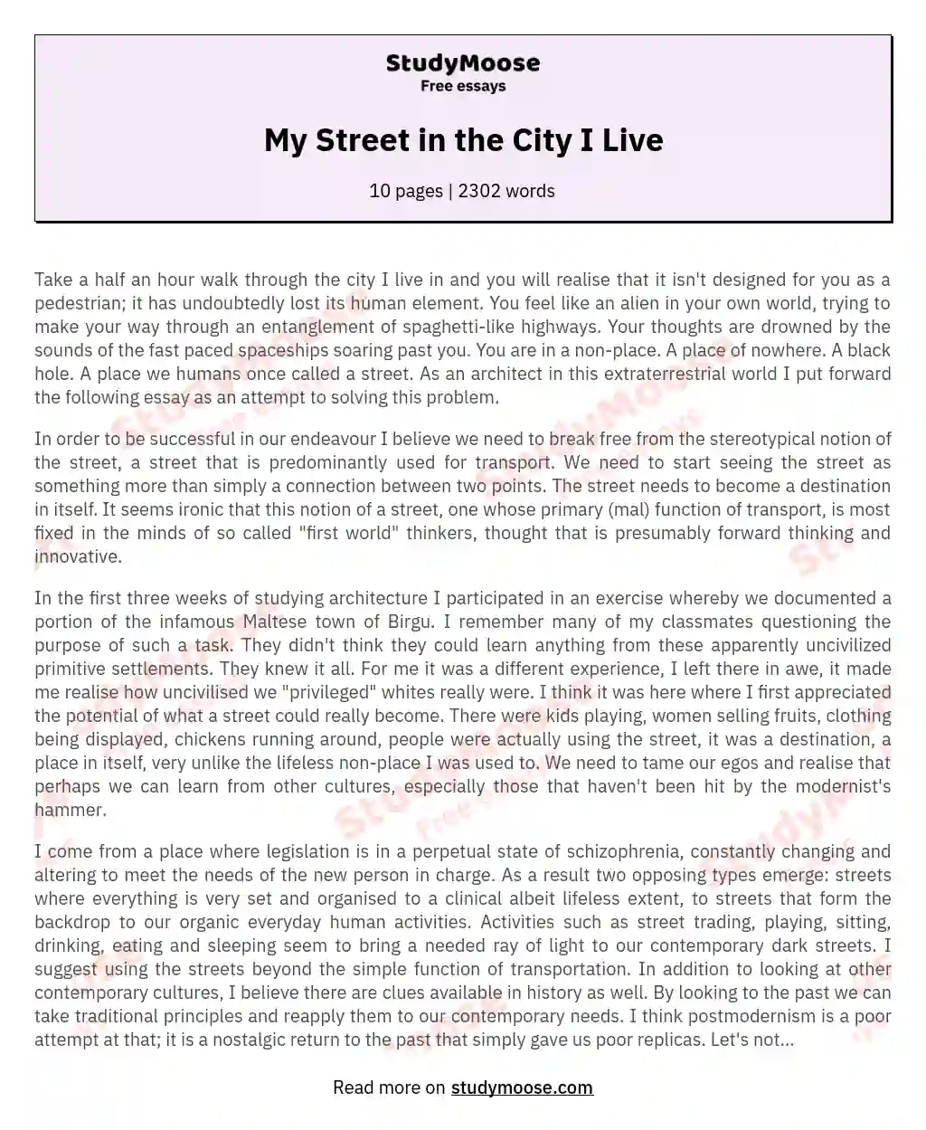 My Street in the City I Live essay
