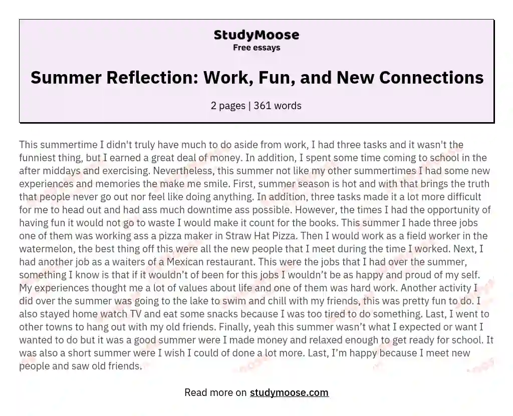 Summer Reflection: Work, Fun, and New Connections essay