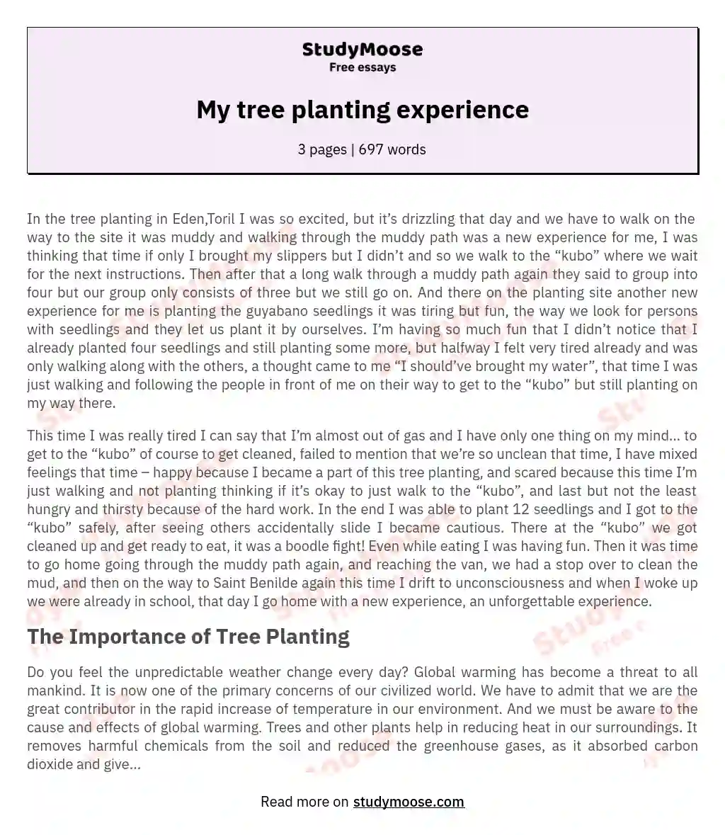 my experience in planting essay brainly