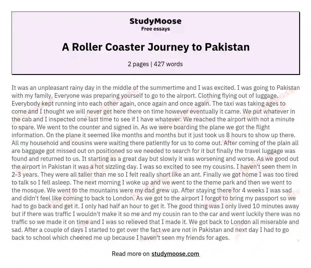 A Roller Coaster Journey to Pakistan essay