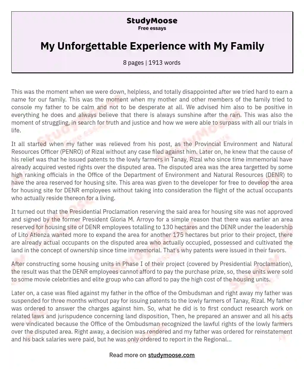 My Unforgettable Experience with My Family essay
