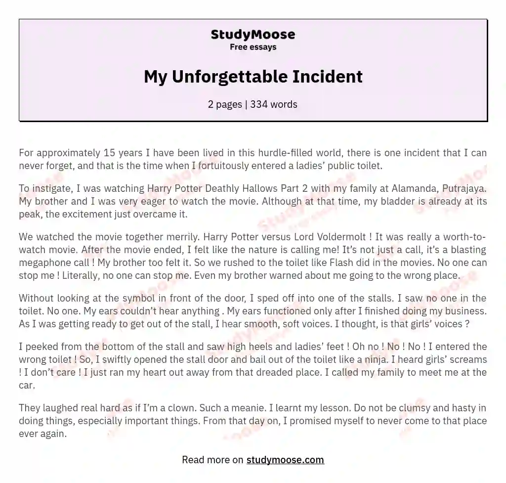 My Unforgettable Incident essay