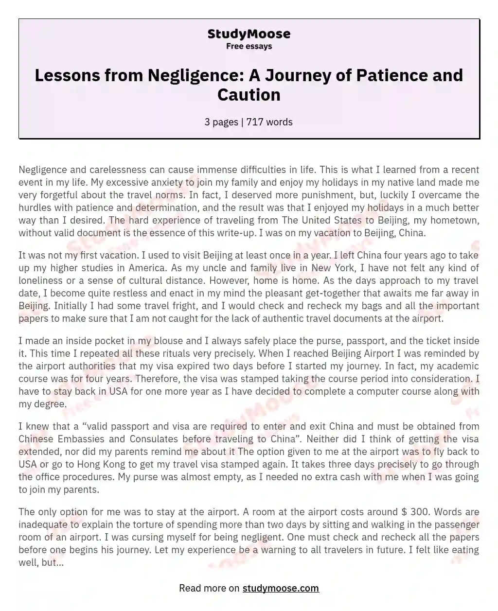 Lessons from Negligence: A Journey of Patience and Caution essay