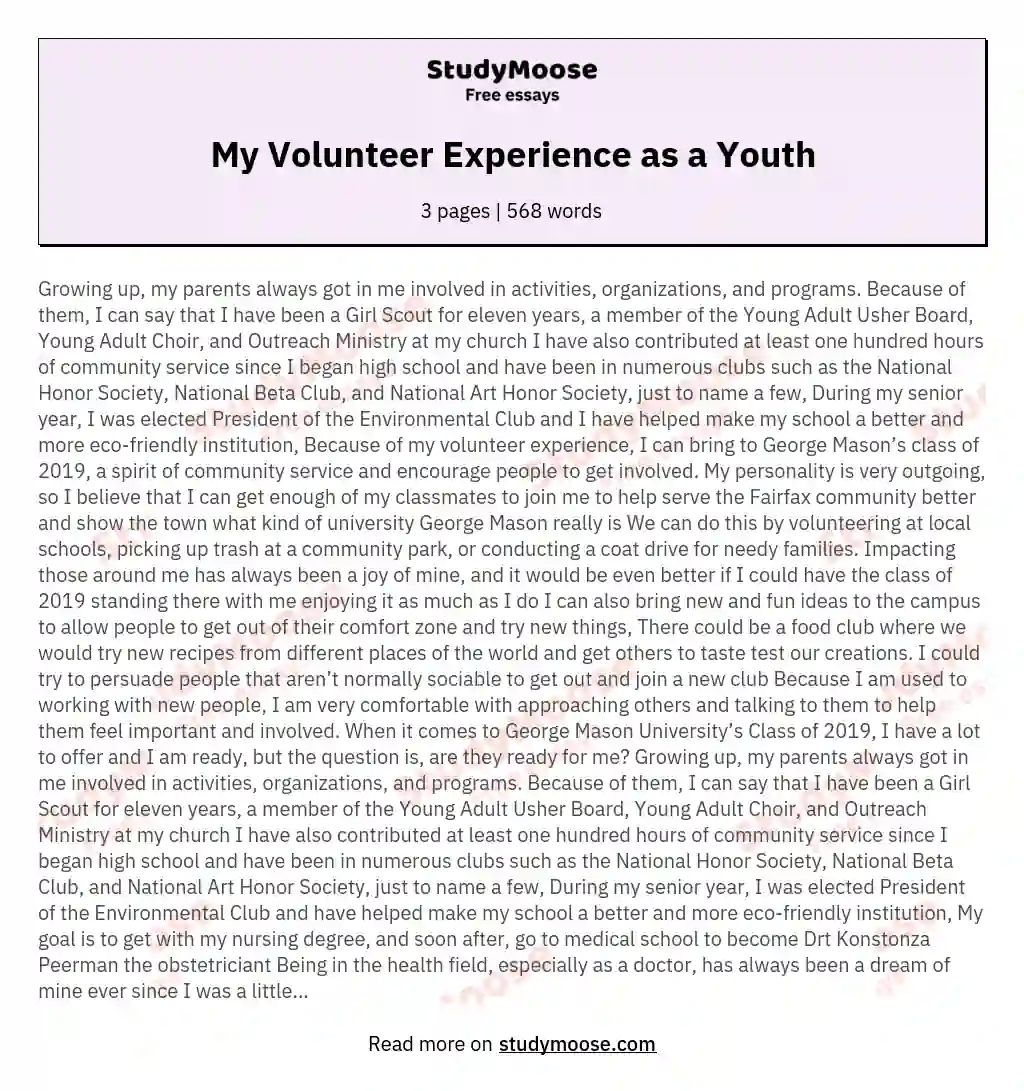 My Volunteer Experience as a Youth essay