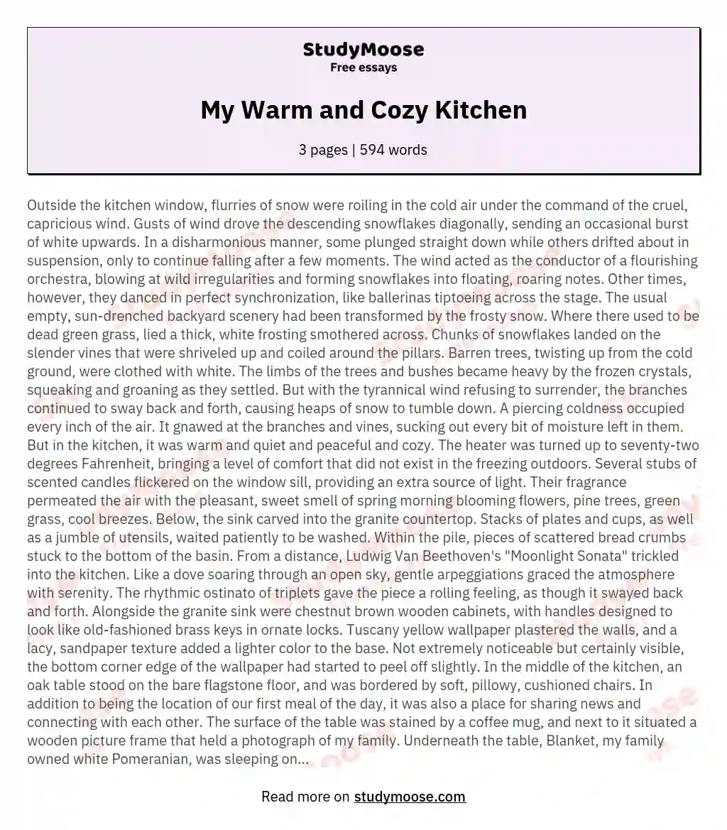 My Warm and Cozy Kitchen essay