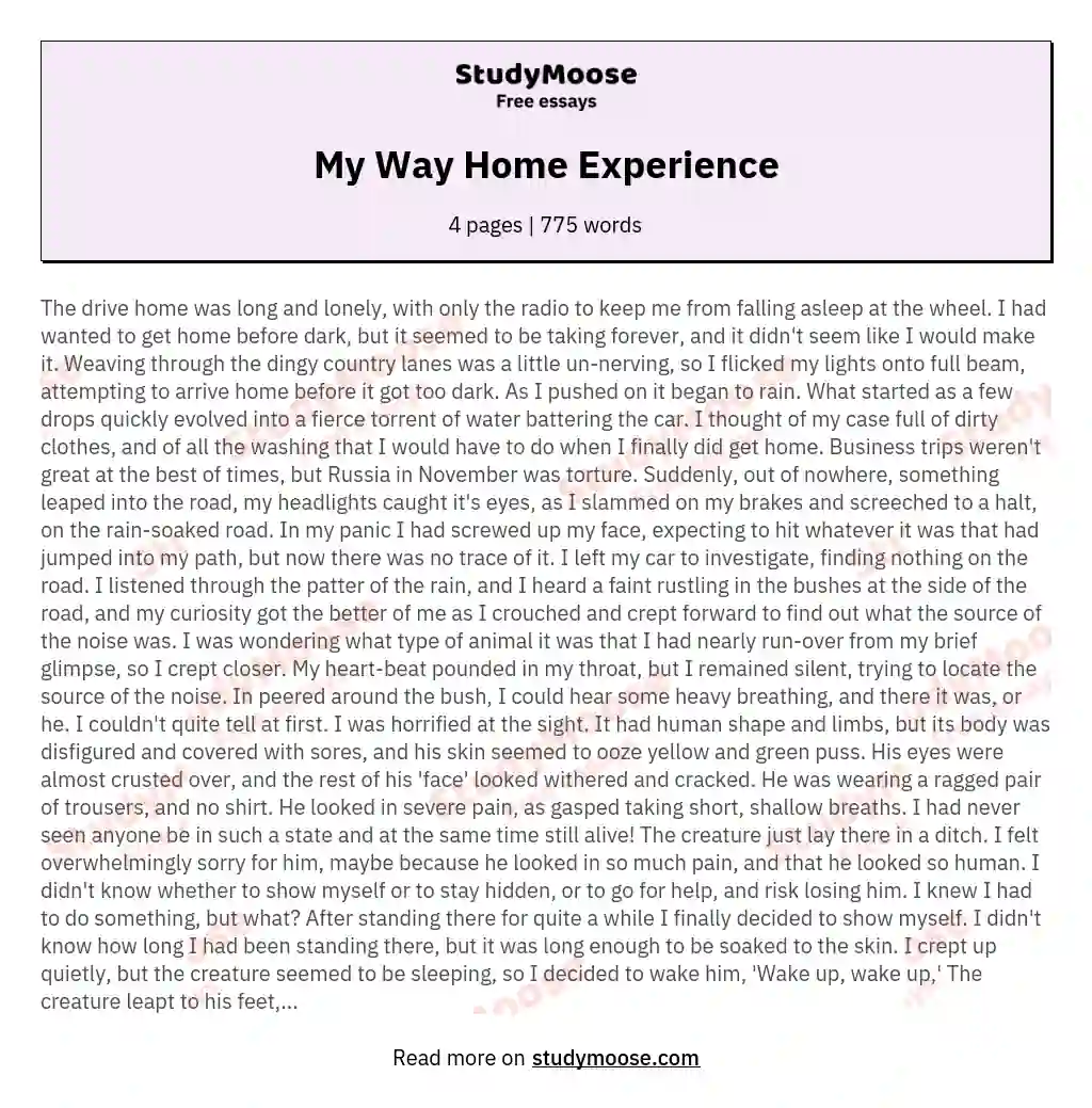 My Way Home Experience essay