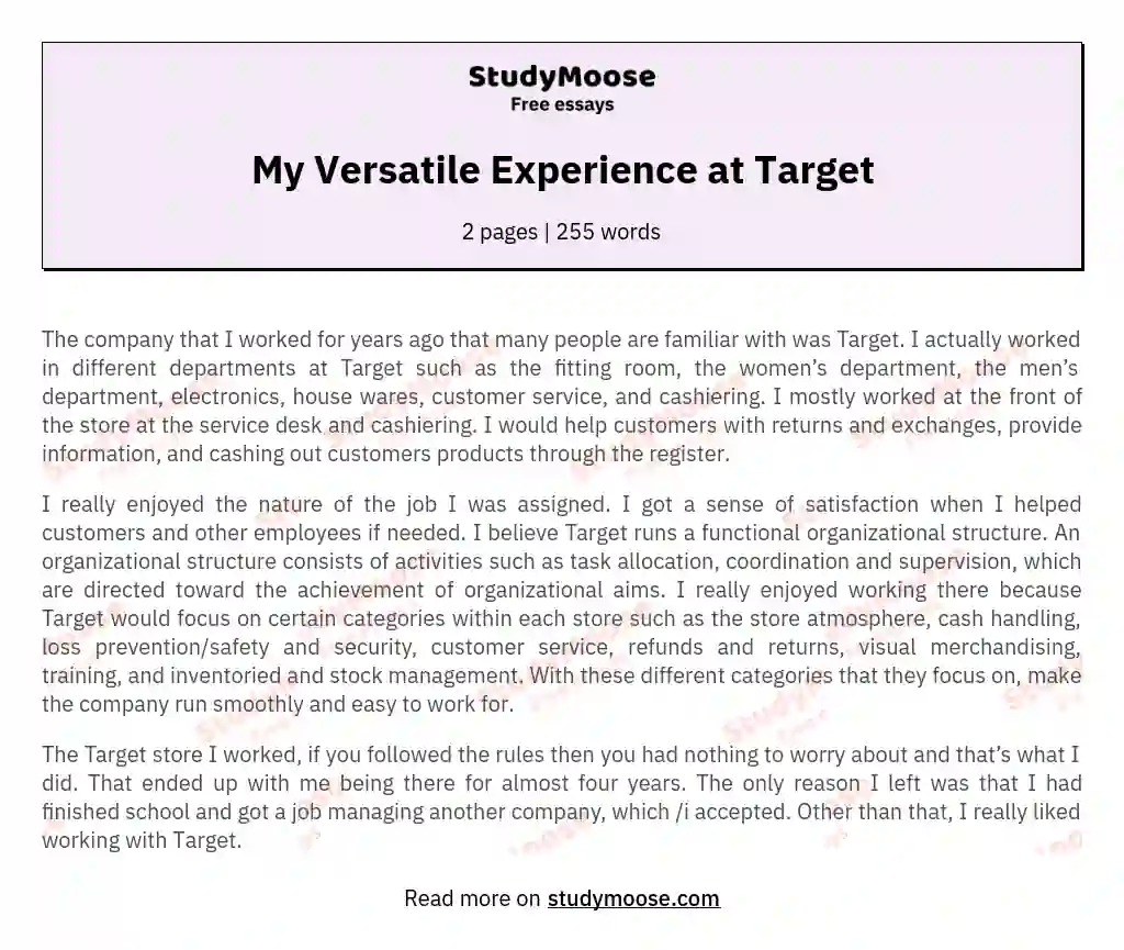 My Versatile Experience at Target essay