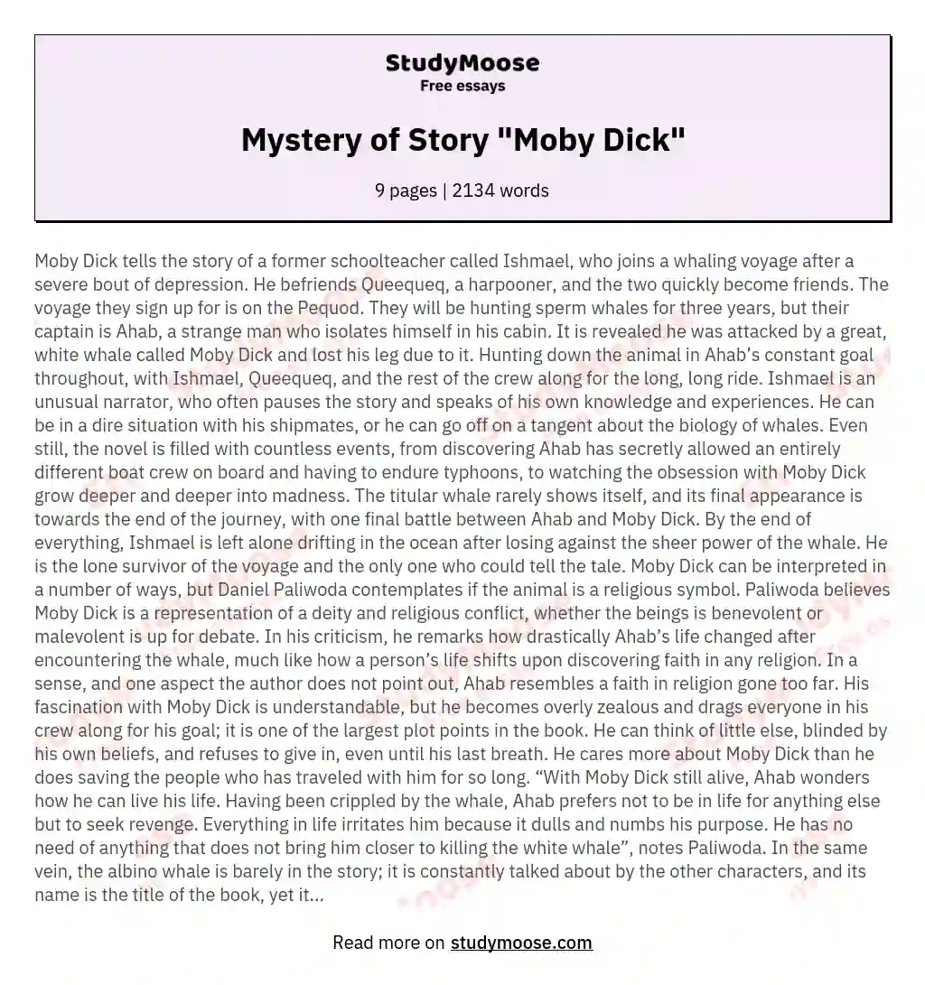 Mystery of Story "Moby Dick" essay