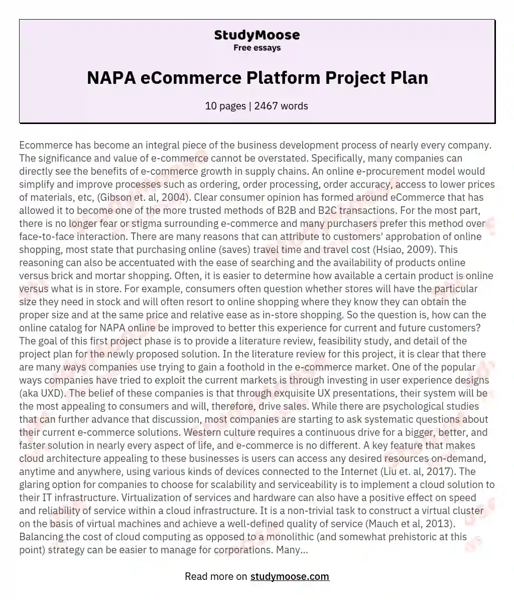 NAPA eCommerce Platform Project Plan essay