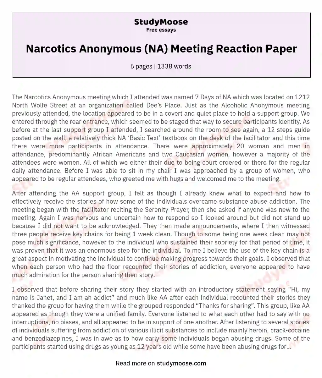 Narcotics Anonymous (NA) Meeting Reaction Paper essay