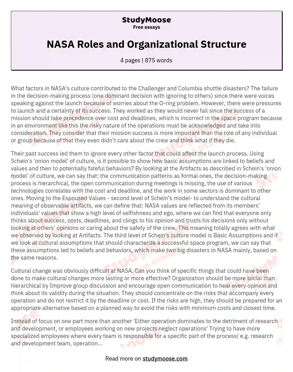 NASA Roles and Organizational Structure essay