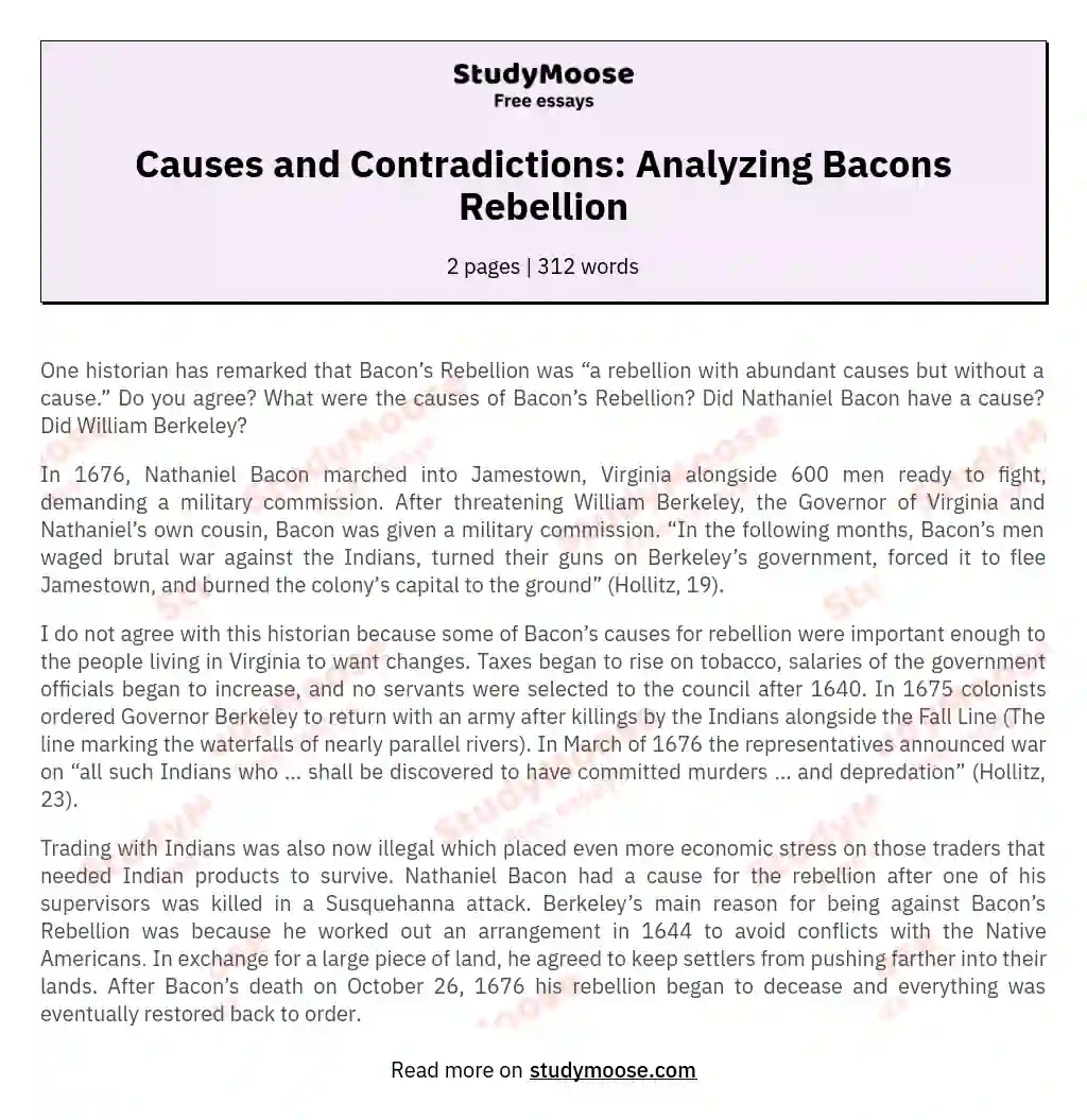 Causes and Contradictions: Analyzing Bacons Rebellion essay