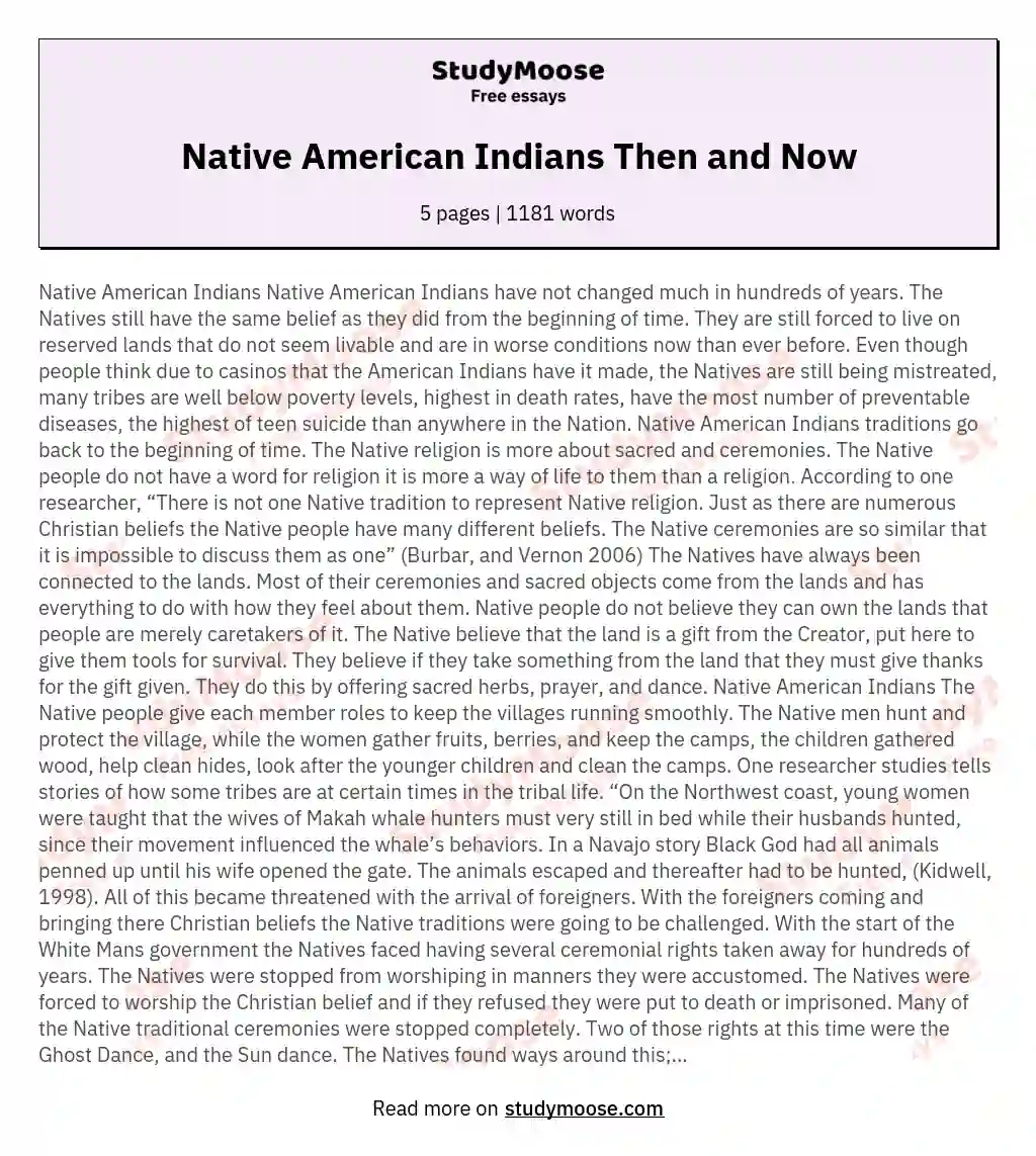 Native American Indians Then and Now essay