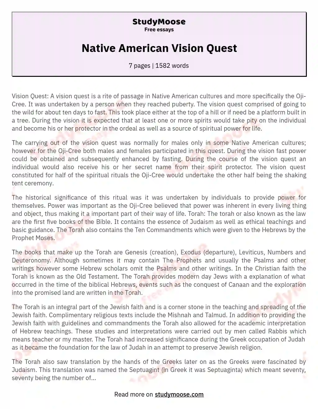 Native American Vision Quest essay