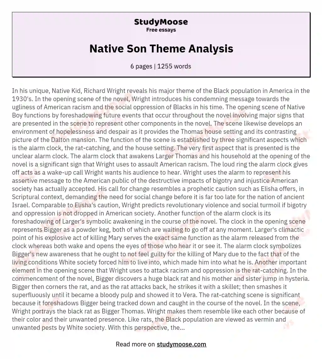Native Son Theme Analysis