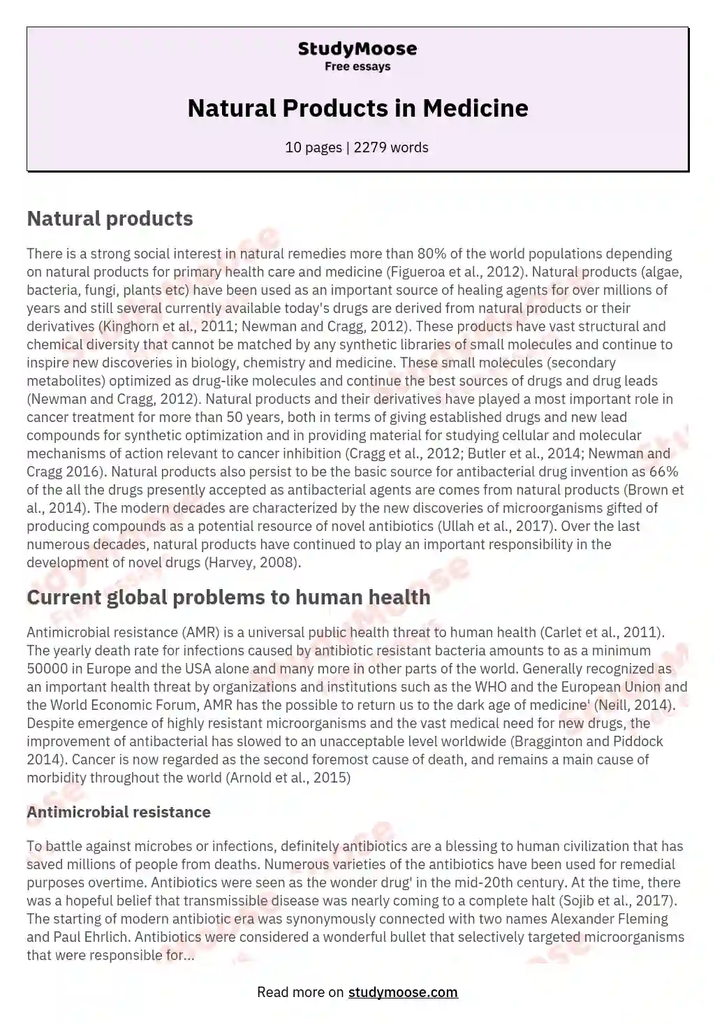 Natural Products in Medicine essay