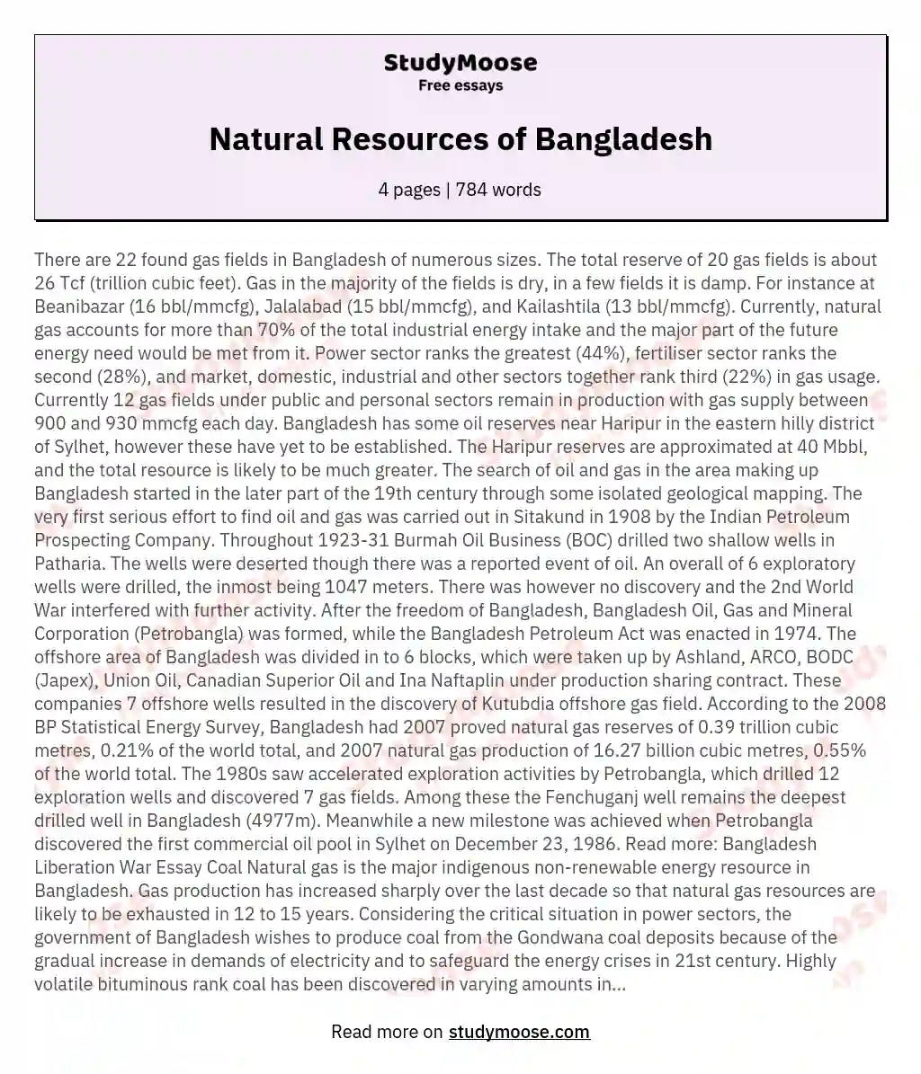 essay about mineral resources