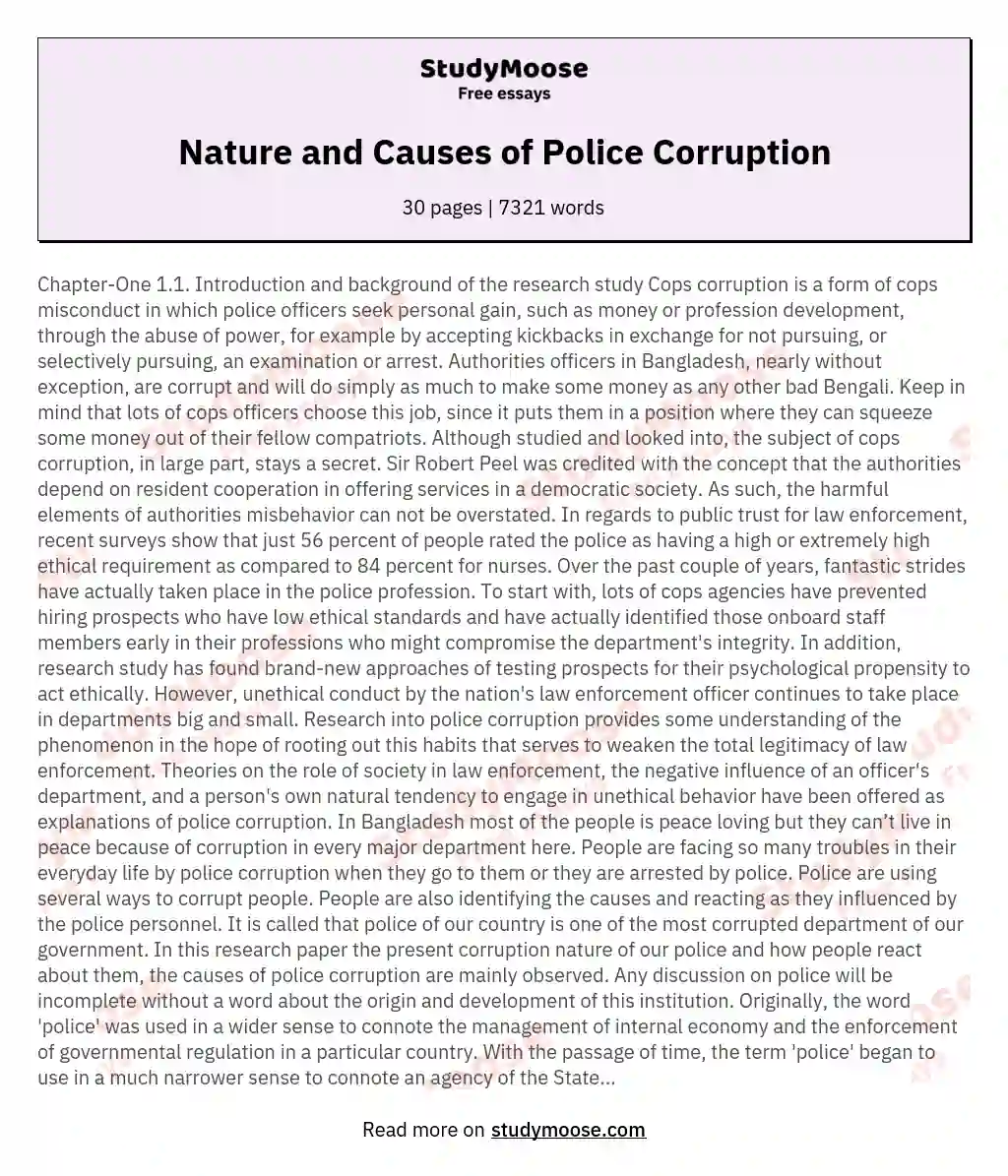 Nature and Causes of Police Corruption essay