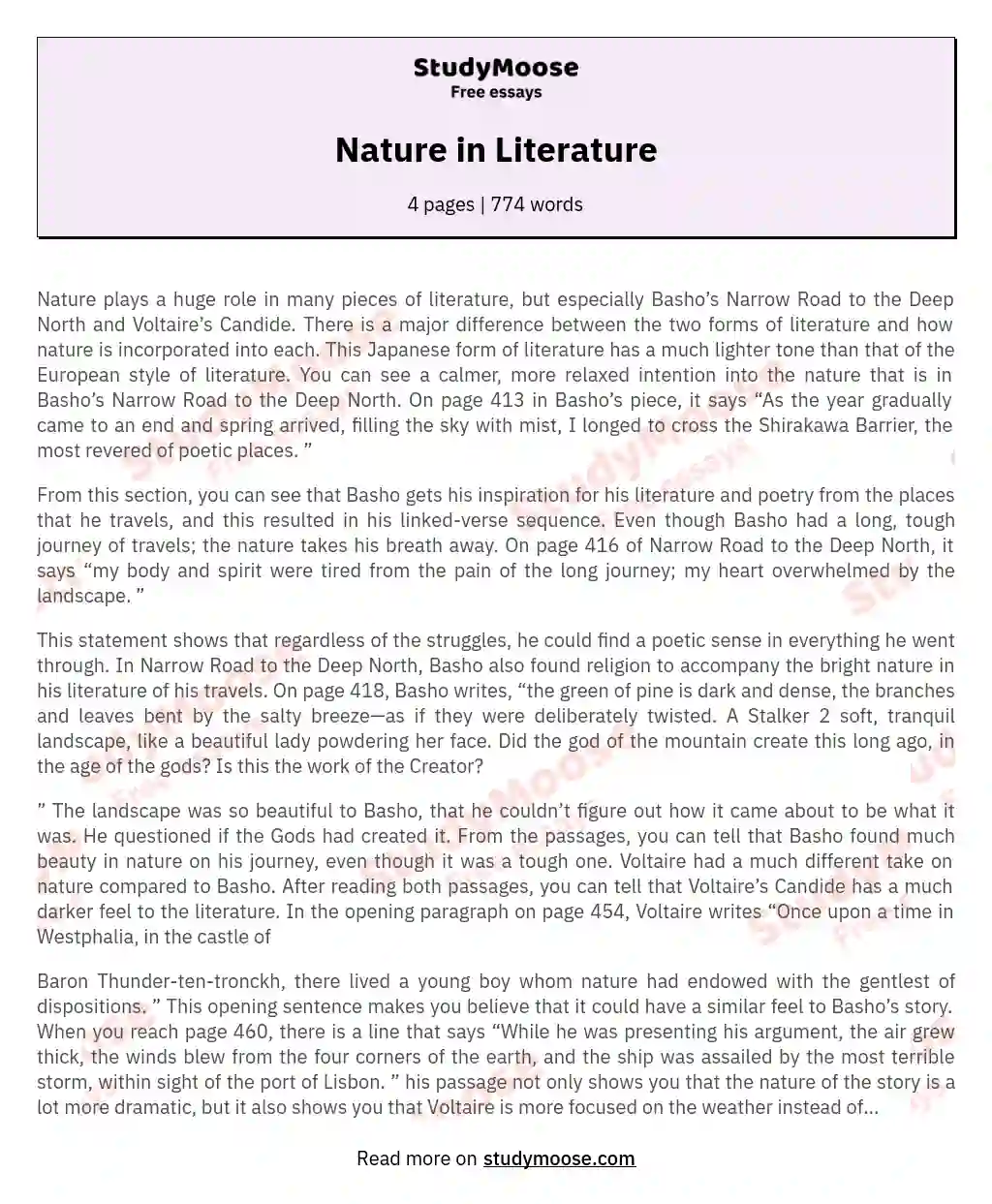 Nature in Literature essay